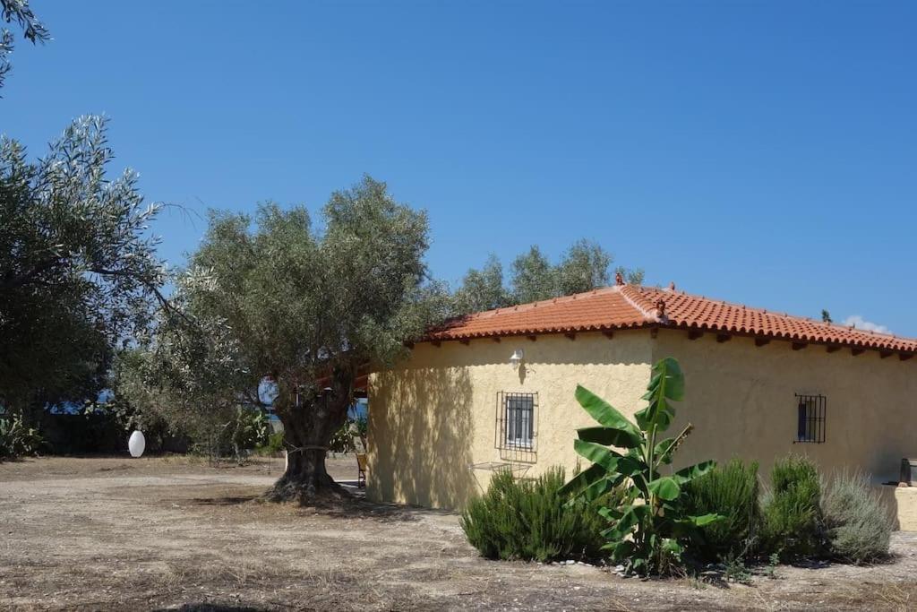 Willa House By The Sea At Skaloma, Loutraki Jezioro Vouliagmeni Zewnętrze zdjęcie